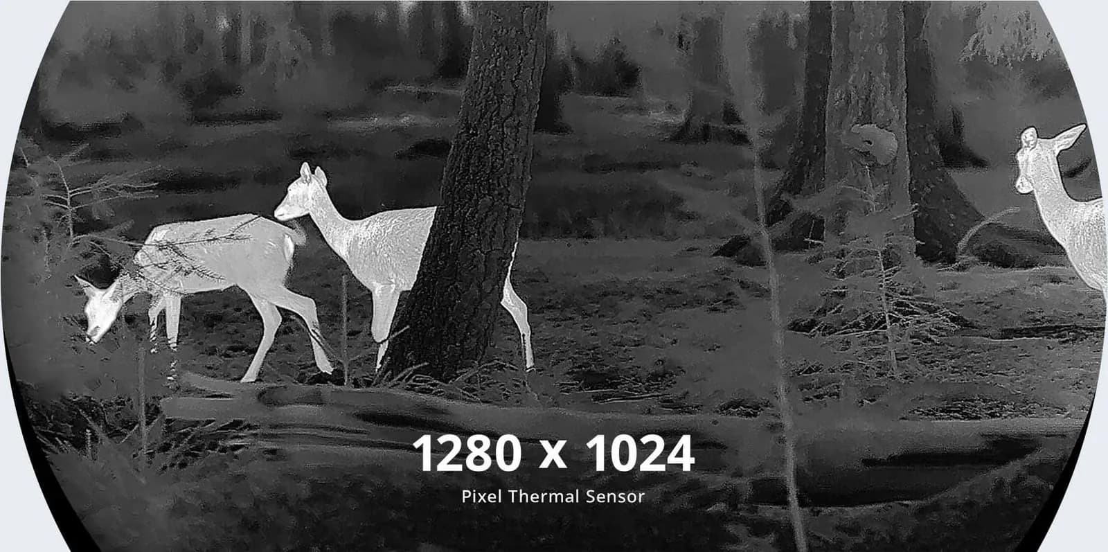 HIKMICRO_Thermal-Scope_STELLAR-3.0_High-Definition-1280-Thermal-Sensor_PC_06